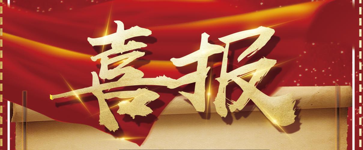 什么是SEO蜘蛛池